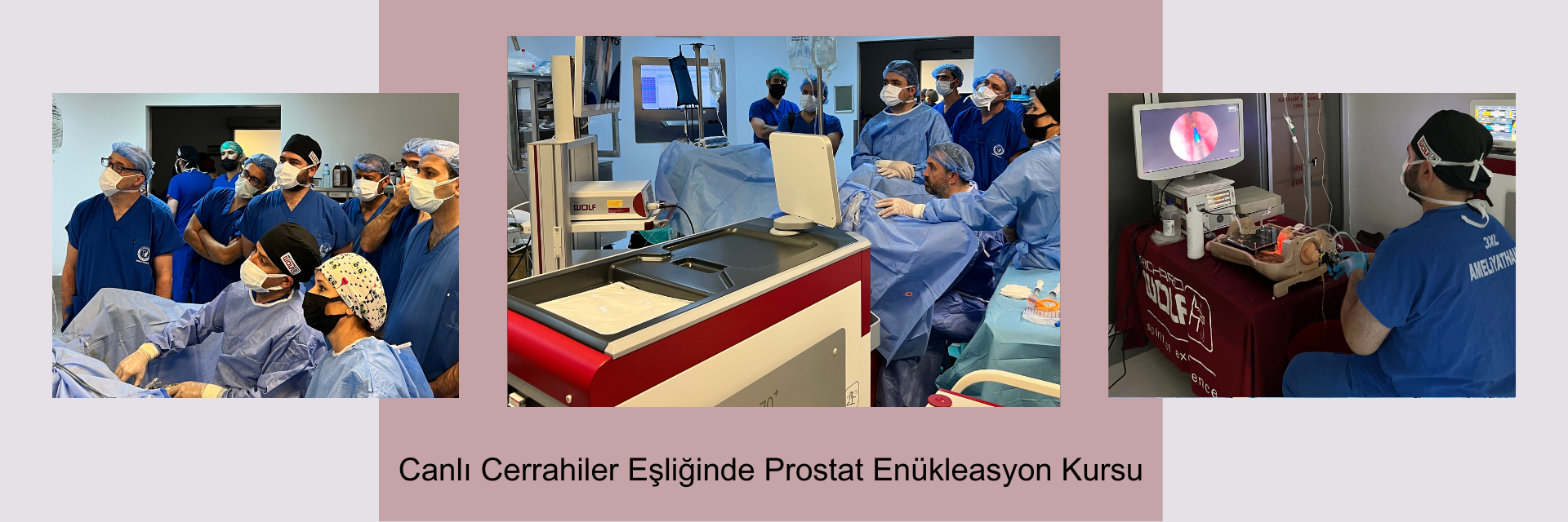 Canl� Cerrahiler E�li�inde Prostat En�kleasyon Kursu