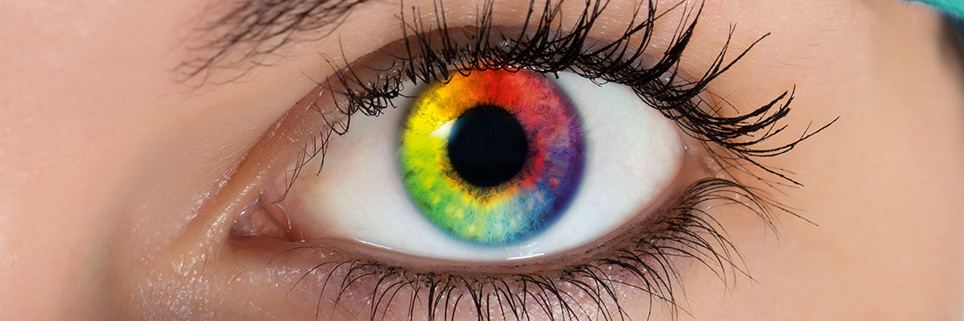 Endoskopik G�r�nt�leme